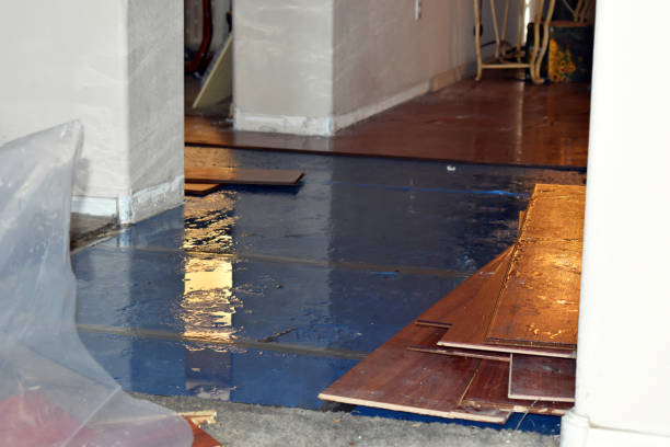 Professional Burst Pipe Water Damage technician working in Mona, UT